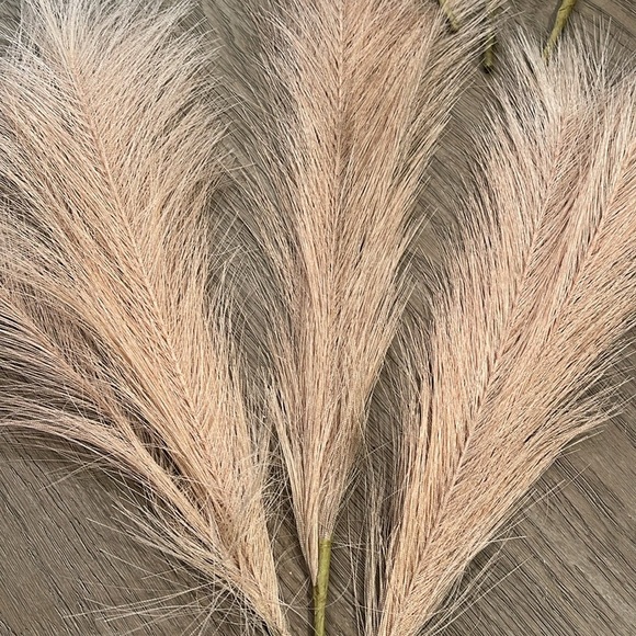 12 - 17" Pampas Grass Decor Beige/Brown/Tan - Picture 3 of 6